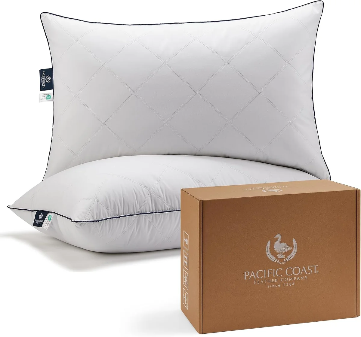 Pacific Coast Double DownAround Pillow
